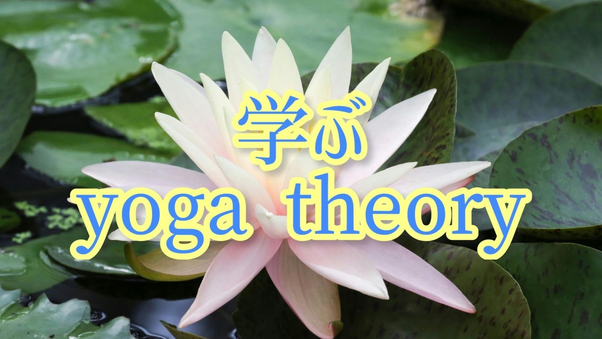 学ぶ 「yoga theory 」