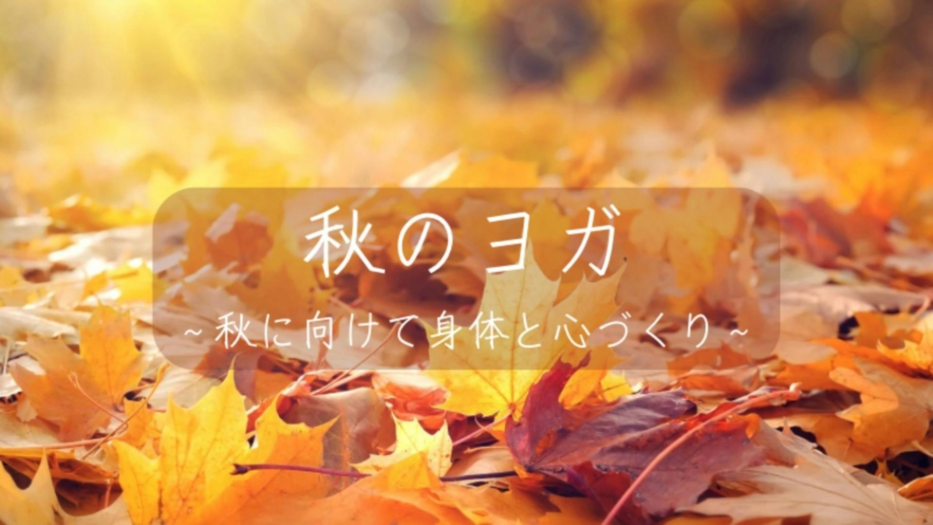 秋のベーシックヨガ