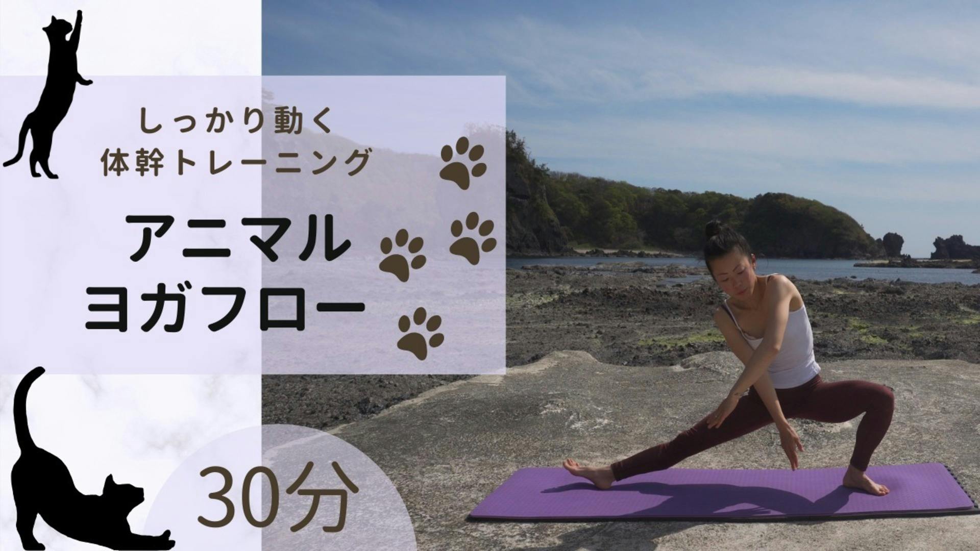 しっかり動く「アニマル x ヨガフロー」体幹トレーニング ✴︎金曜日✴︎